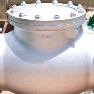 Check Valves